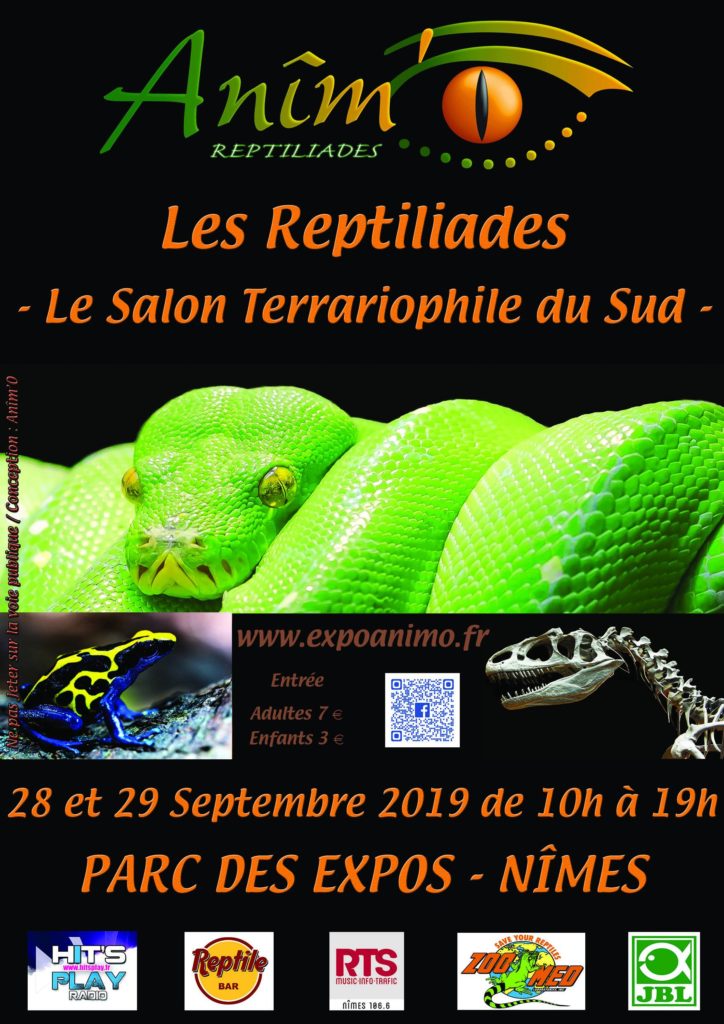 Affiche 2019
