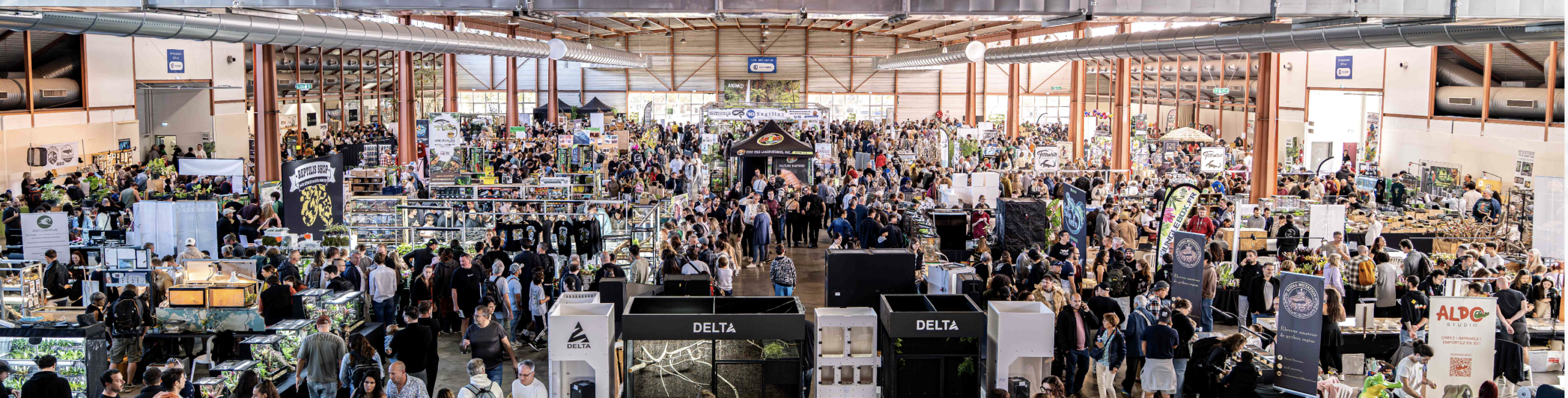 Les Reptiliades & Les Reptiliarras - Anîm'O 