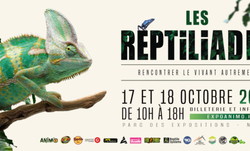 Acheter ses billets : Les Reptiliades (Nîmes – Gard – France)
